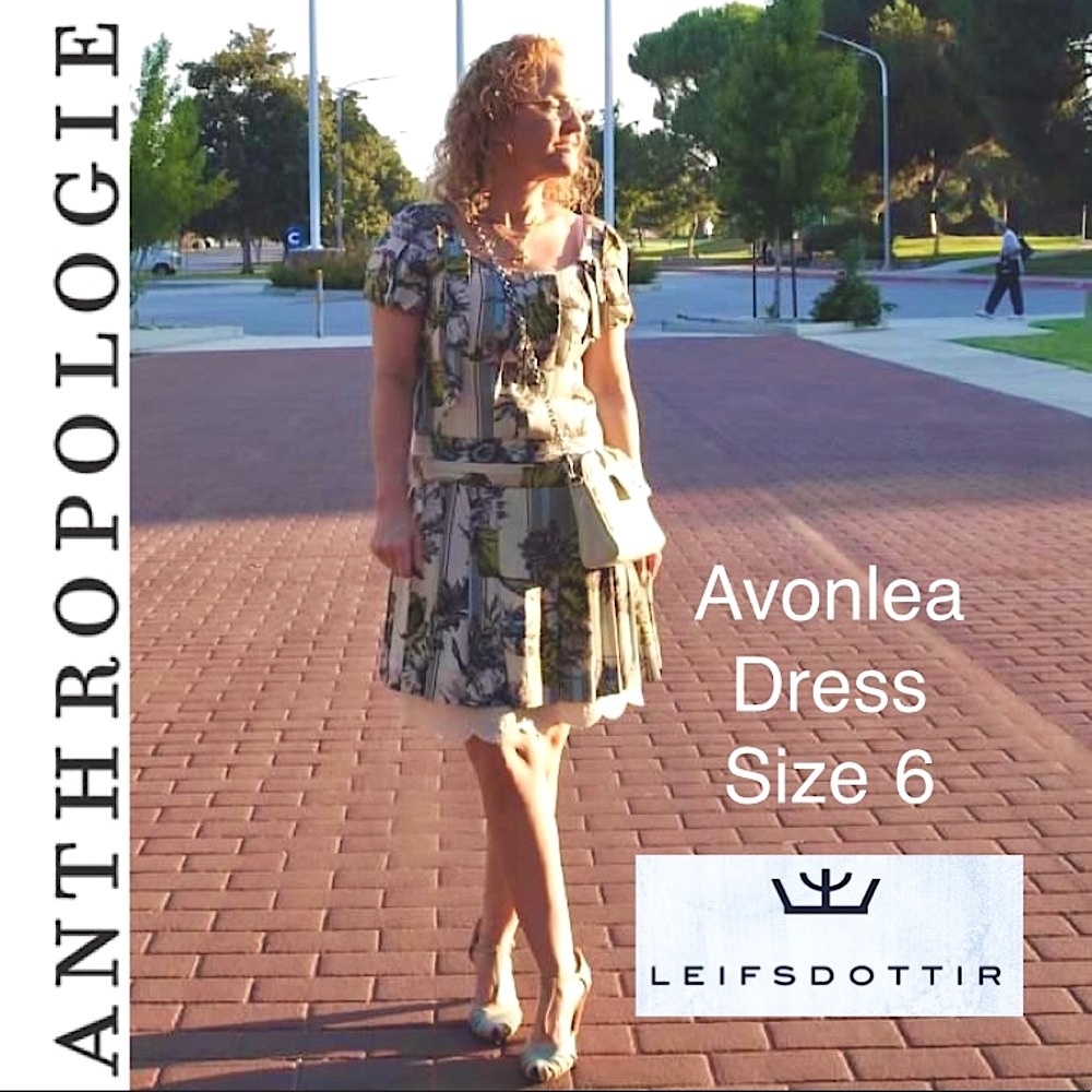 Anthropologie Leifsdottir Avonlea Dress Silk EUC Size 6 Drop Waist Pleated - Picture 2 of 16